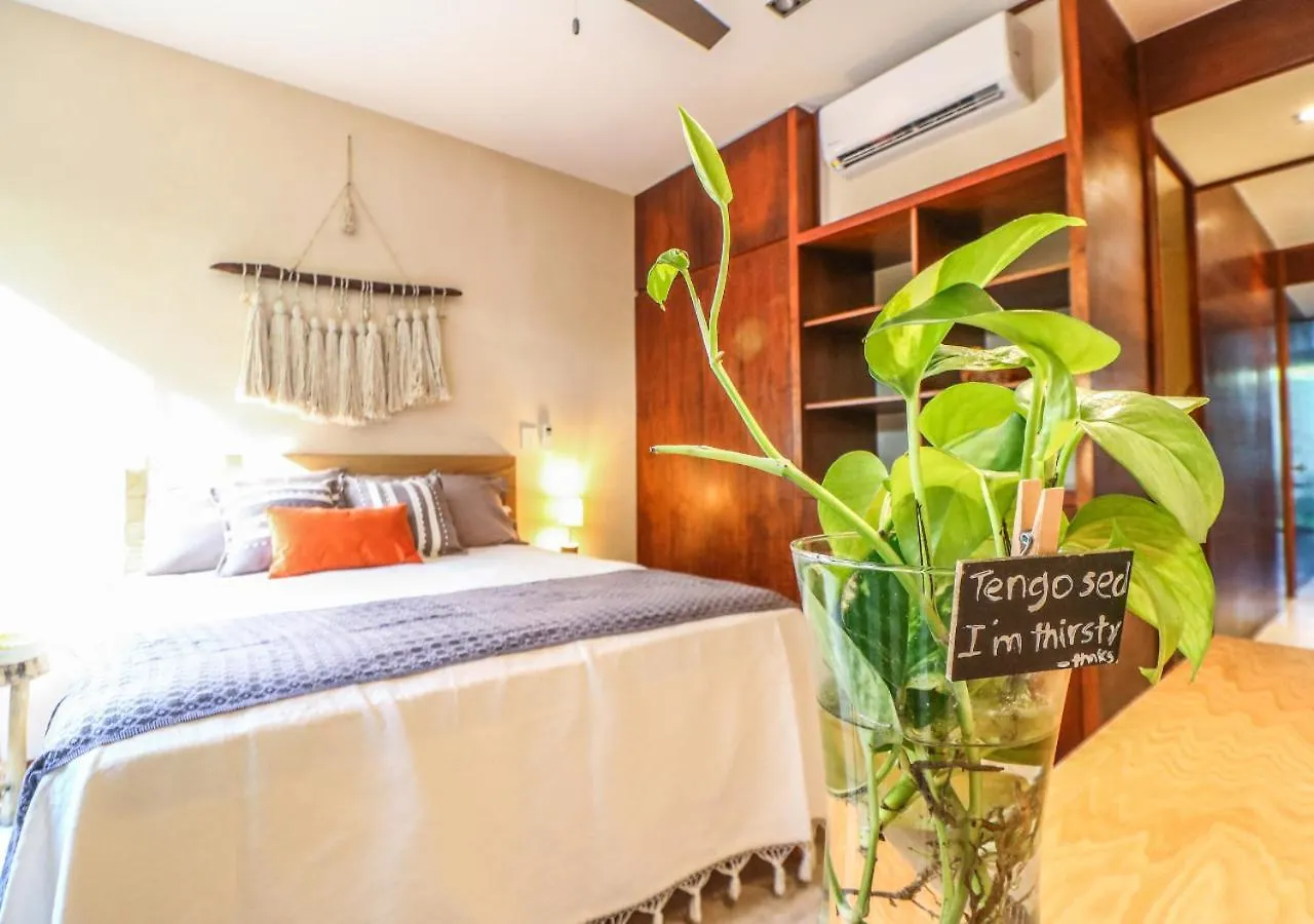 Departamento 2 Recamaras Con Alberca Privada A 10 Minutos De La Playa Apartment Tulum Mexico